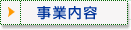 ���Ɠ��e